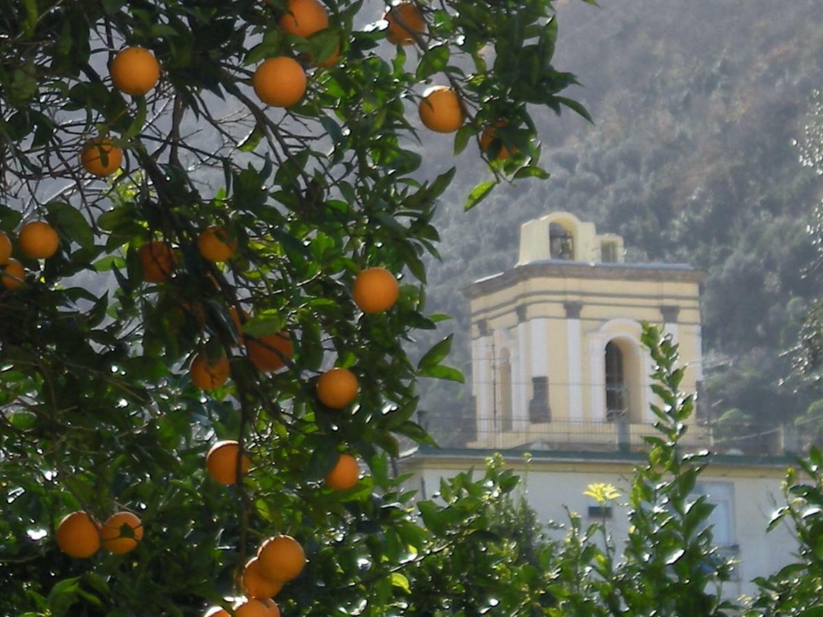 Casa De Angelis Orange & Blue Apartment Sant'Agnello Exterior foto